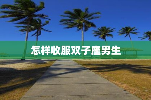 怎样收服双子座男生