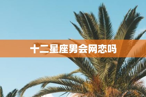十二星座男会网恋吗