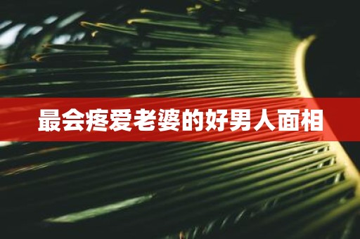 最会疼爱老婆的好男人面相