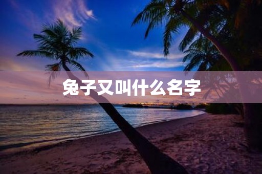兔子又叫什么名字