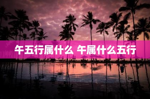 午五行属什么 午属什么五行