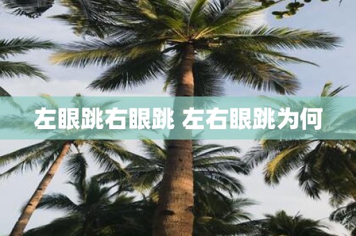 左眼跳右眼跳 左右眼跳为何