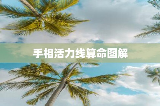 手相活力线算命图解