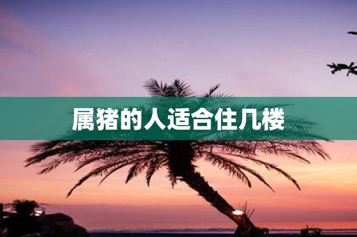 属猪的人适合住几楼