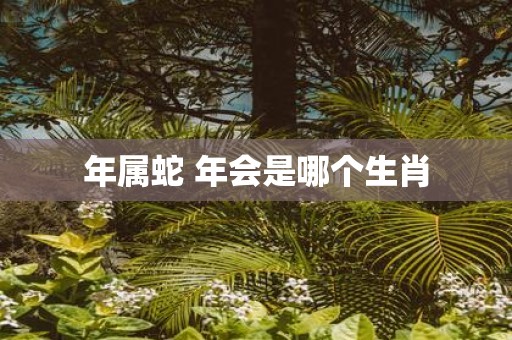 年属蛇 年会是哪个生肖