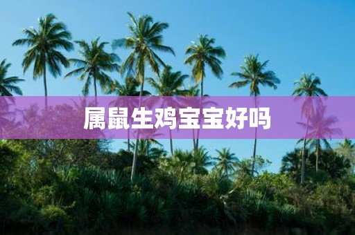 属鼠生鸡宝宝好吗