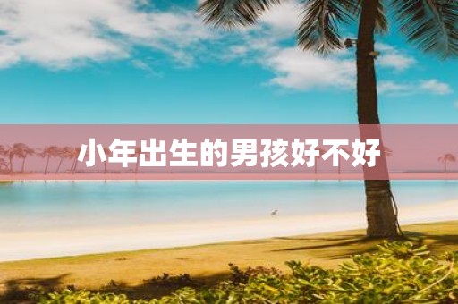小年出生的男孩好不好