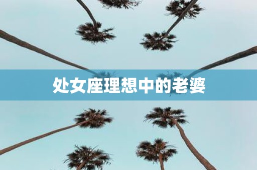 处女座理想中的老婆