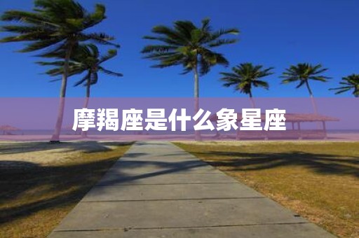 摩羯座是什么象星座