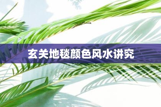 玄关地毯颜色风水讲究