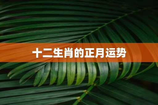 十二生肖的正月运势