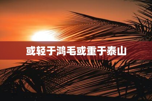或轻于鸿毛或重于泰山