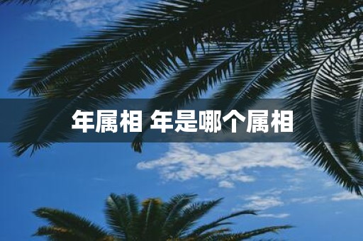年属相 年是哪个属相