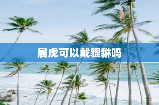 属虎可以戴貔貅吗