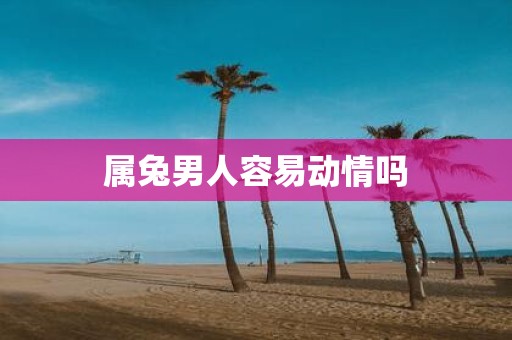 属兔男人容易动情吗