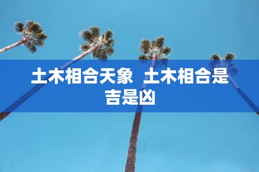 土木相合天象 土木相合是吉是凶