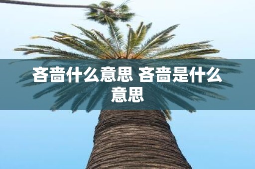 吝啬什么意思 吝啬是什么意思