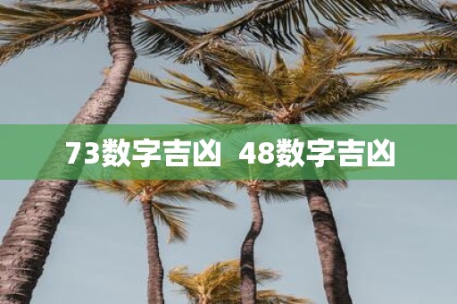 73数字吉凶  48数字吉凶