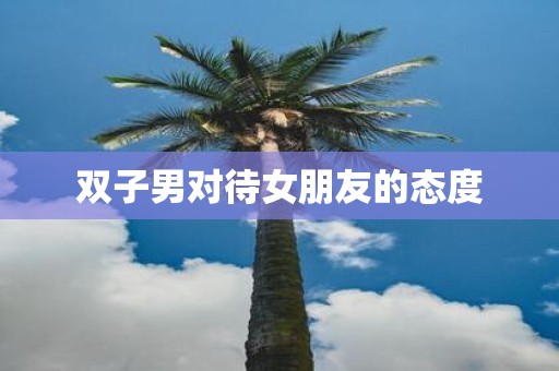 双子男对待女朋友的态度