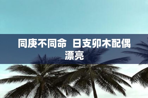 同庚不同命 日支卯木配偶漂亮
