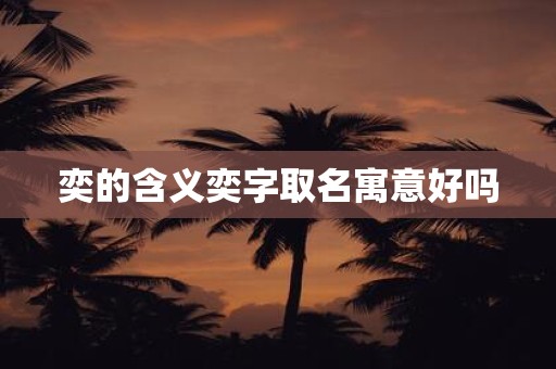 奕的含义奕字取名寓意好吗