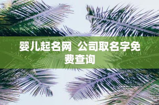 婴儿起名网 公司取名字免费查询
