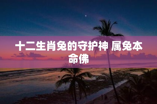 十二生肖兔的守护神 属兔本命佛