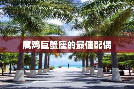 属鸡巨蟹座的最佳配偶
