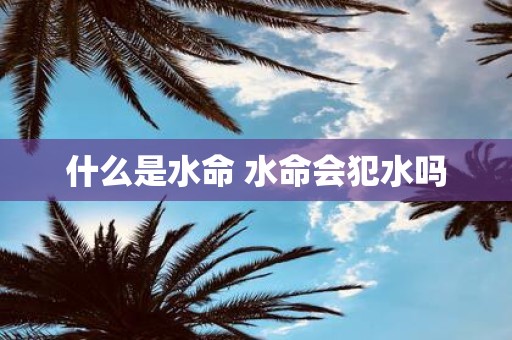 什么是水命 水命会犯水吗