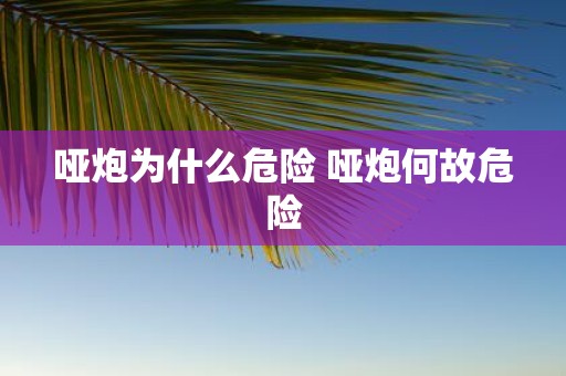 哑炮为什么危险 哑炮何故危险