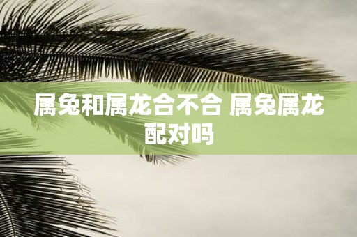 属兔和属龙合不合 属兔属龙配对吗