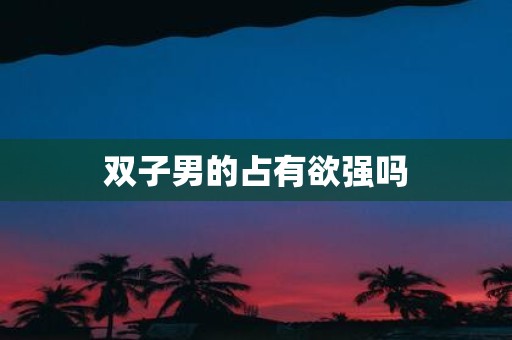 双子男的占有欲强吗