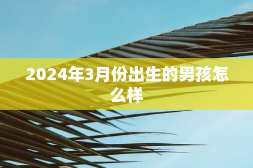 2025年3月份出生的男孩怎么样