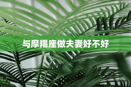 与摩羯座做夫妻好不好