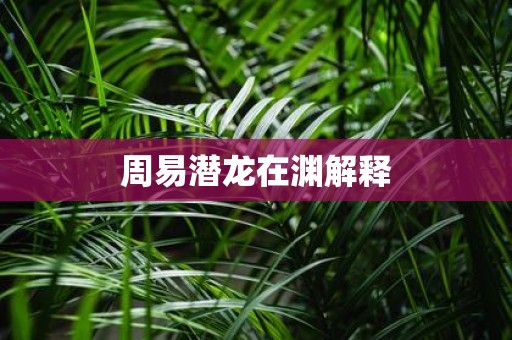 周易潜龙在渊解释