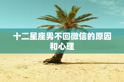 十二星座男不回微信的原因和心理