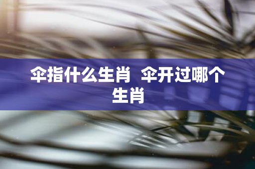 伞指什么生肖 伞开过哪个生肖