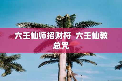 六壬仙师招财符 六壬仙教总咒