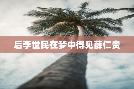 后李世民在梦中得见薛仁贵