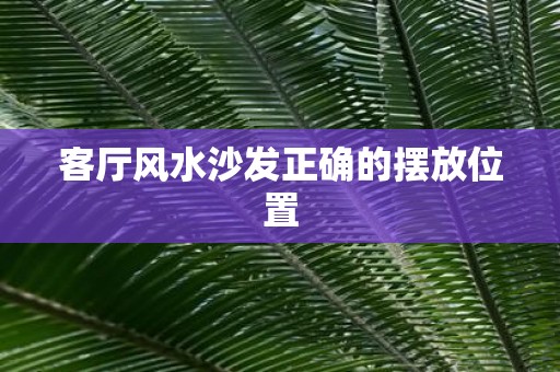 客厅风水沙发正确的摆放位置