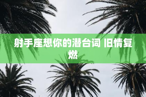 射手座想你的潜台词 旧情复燃