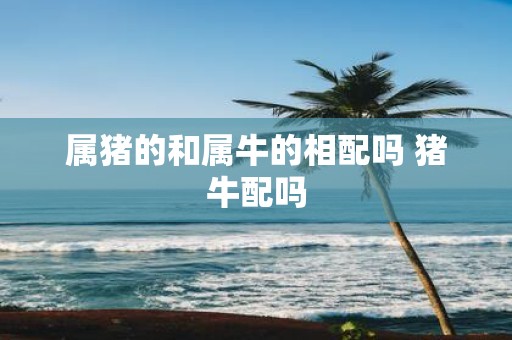 属猪的和属牛的相配吗 猪牛配吗