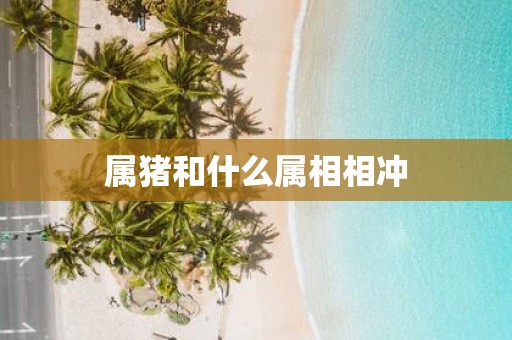 属猪和什么属相相冲