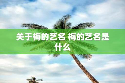 关于梅的艺名 梅的艺名是什么