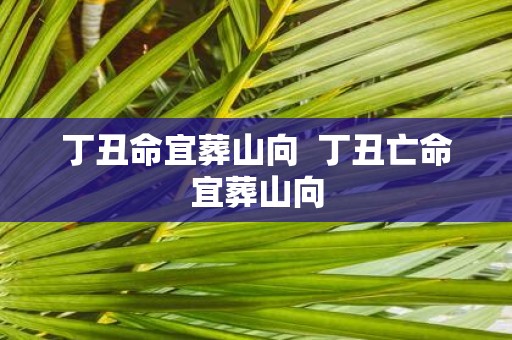 丁丑命宜葬山向 丁丑亡命宜葬山向