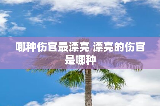哪种伤官最漂亮 漂亮的伤官是哪种