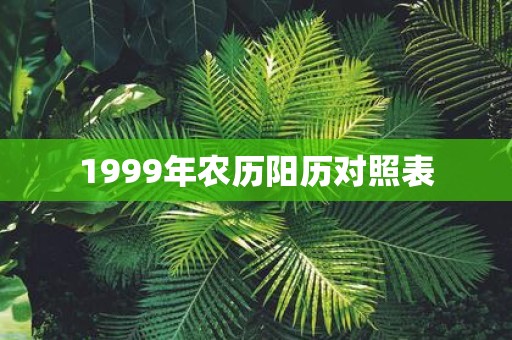 1999年农历阳历对照表