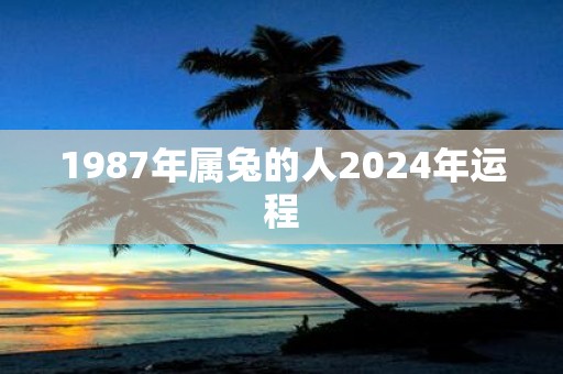 1987年属兔的人2025年运程