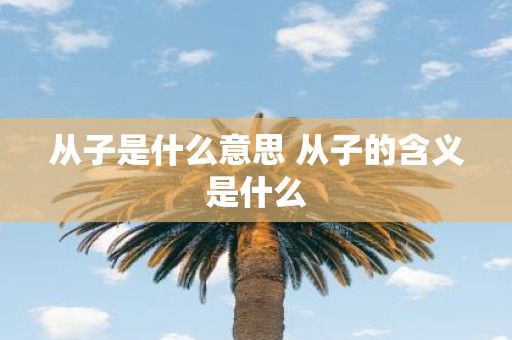 从子是什么意思 从子的含义是什么