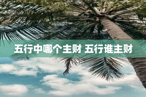 五行中哪个主财 五行谁主财